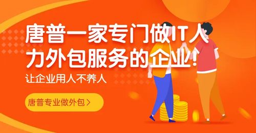 影響軟件開發(fā)人員外包價(jià)格的關(guān)鍵因素
